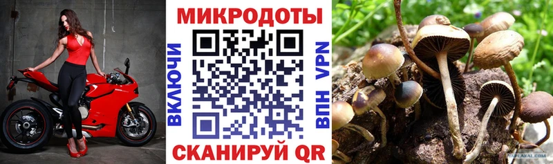 Купить закладки  Белый  Галлюциногенные грибы Psilocybine cubensis 